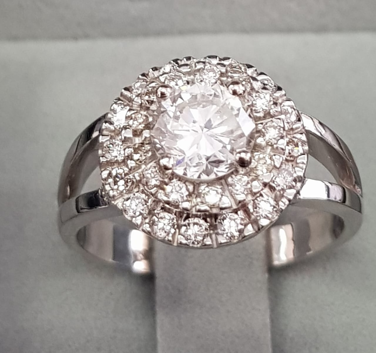 PHOTO-2022-09-12-10-59-59 PHOTO-2022-09-12-10-59-59